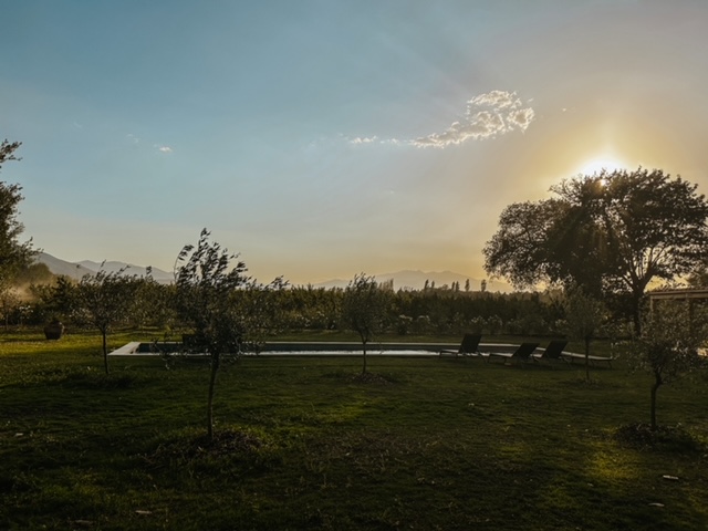 Jardin du bout de la cave